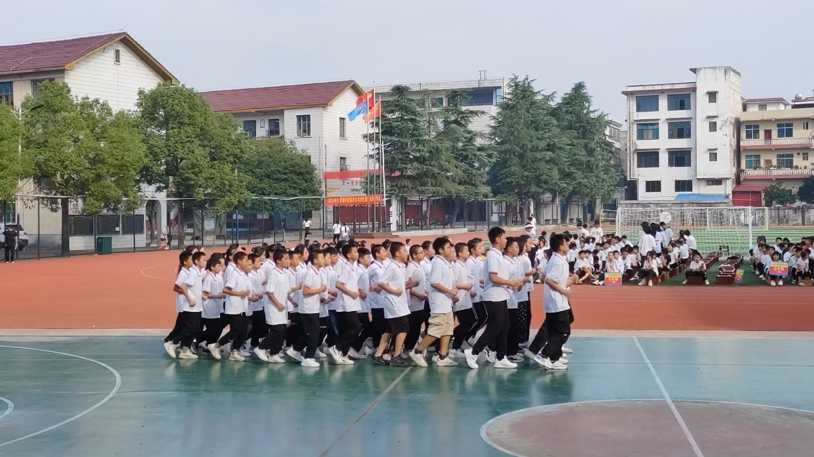 雏鹰展翅迎风而上