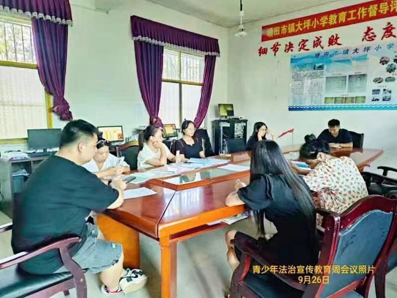 塘田市镇大坪小学青少年法治宣传教育周