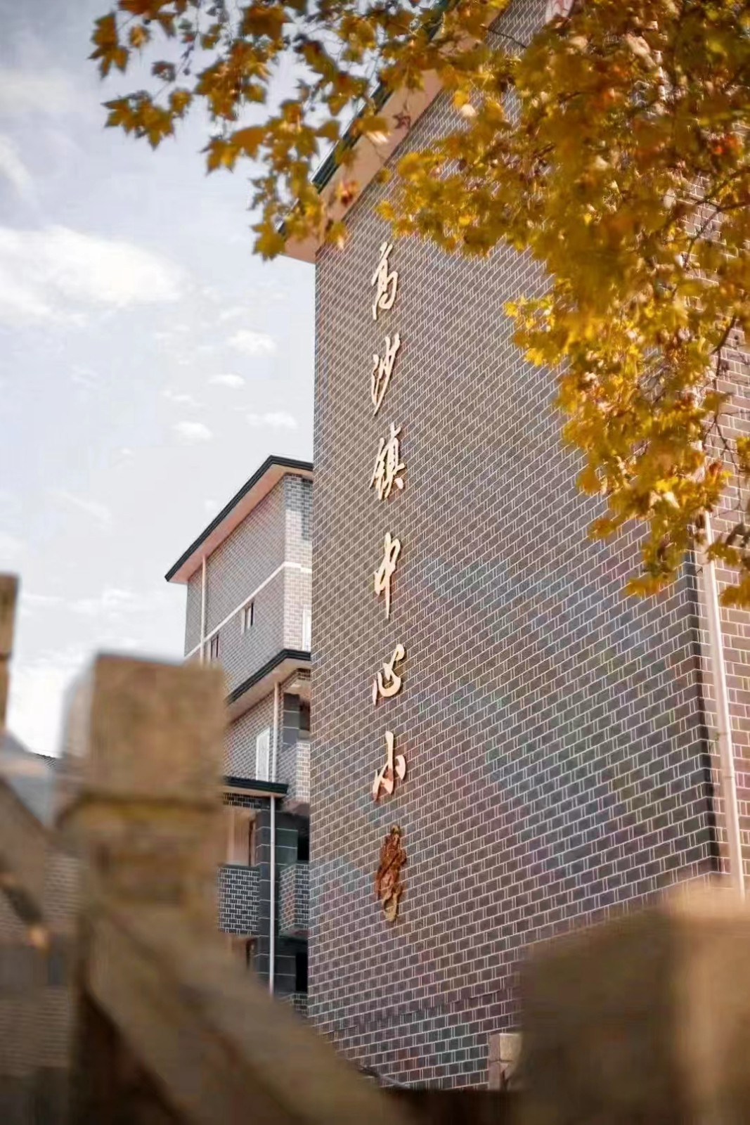 为古镇振兴酿坛好蜜