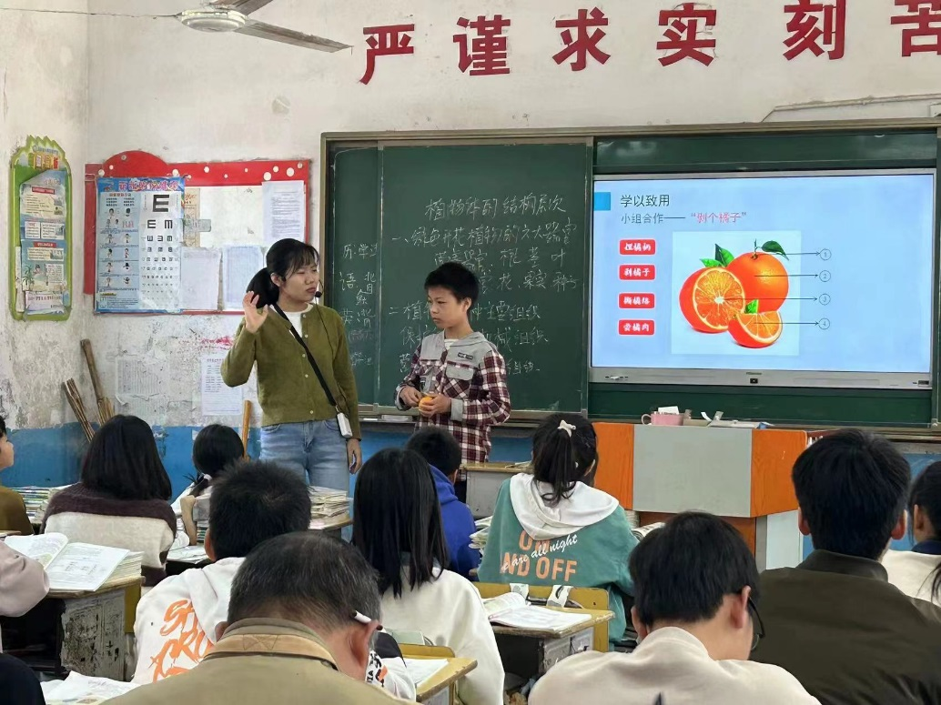 以研兴教   以评促教