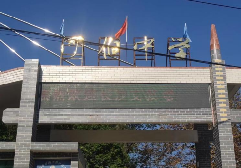 教研助成长，交流绽芳华