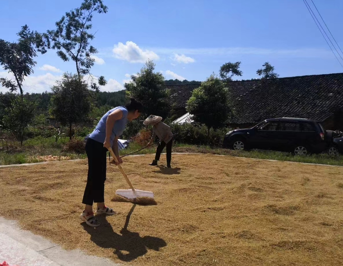 放飞青春梦想 助力乡村振兴