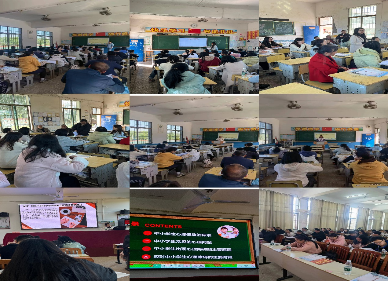 “优化提质促成长，实践管理共芬芳”