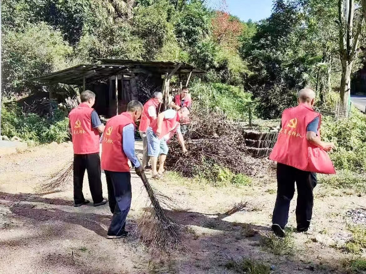 新宁县崀山镇：党建引领绘就美丽乡村画卷