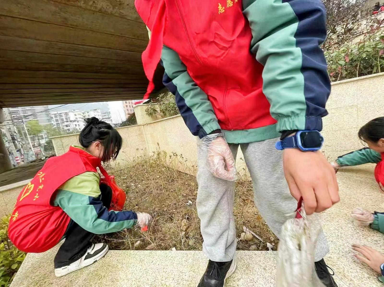 小手拉大手，践行雷锋精神