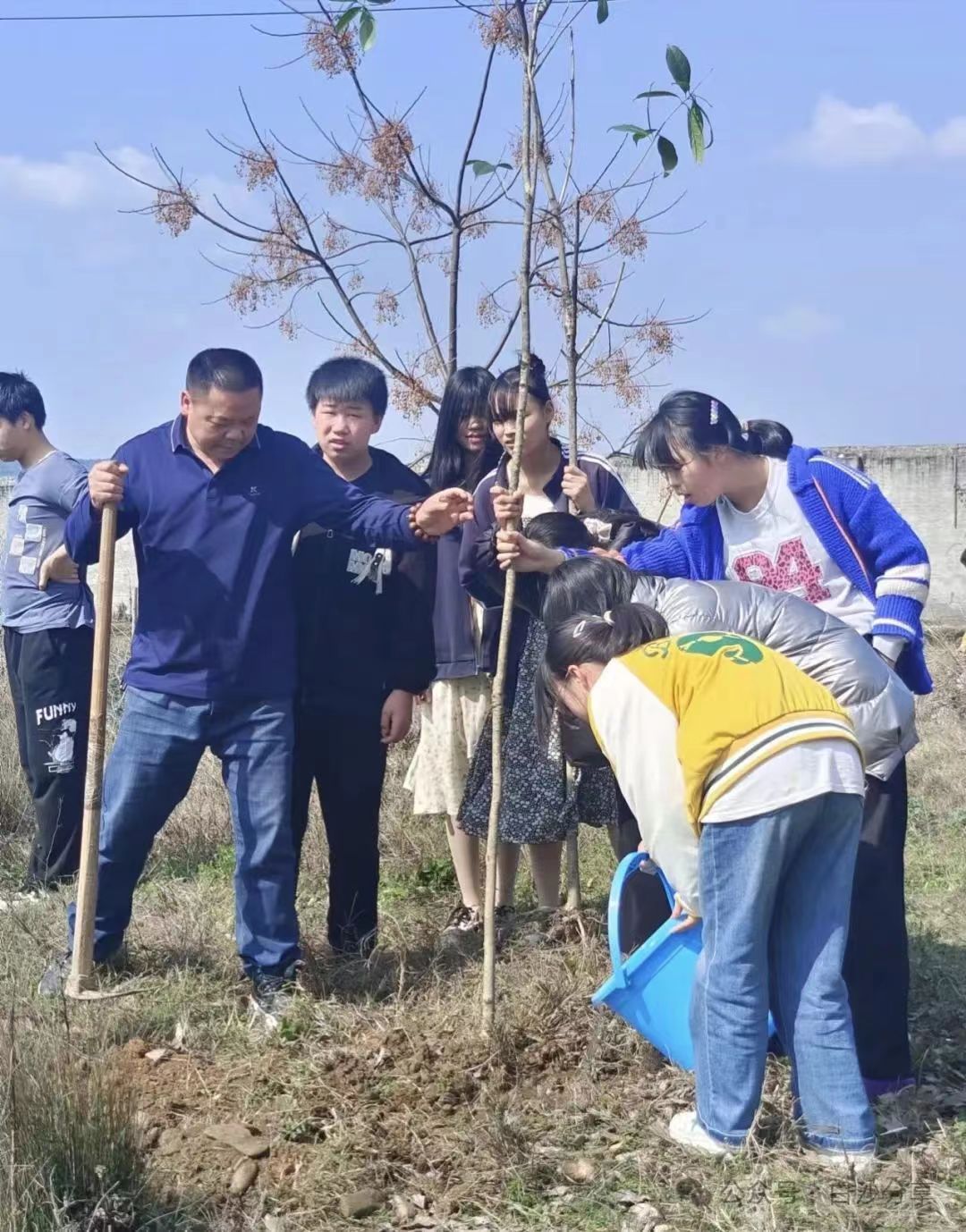 白沙中学举行植树节活动，校长亲自带领师生共筑绿色校园