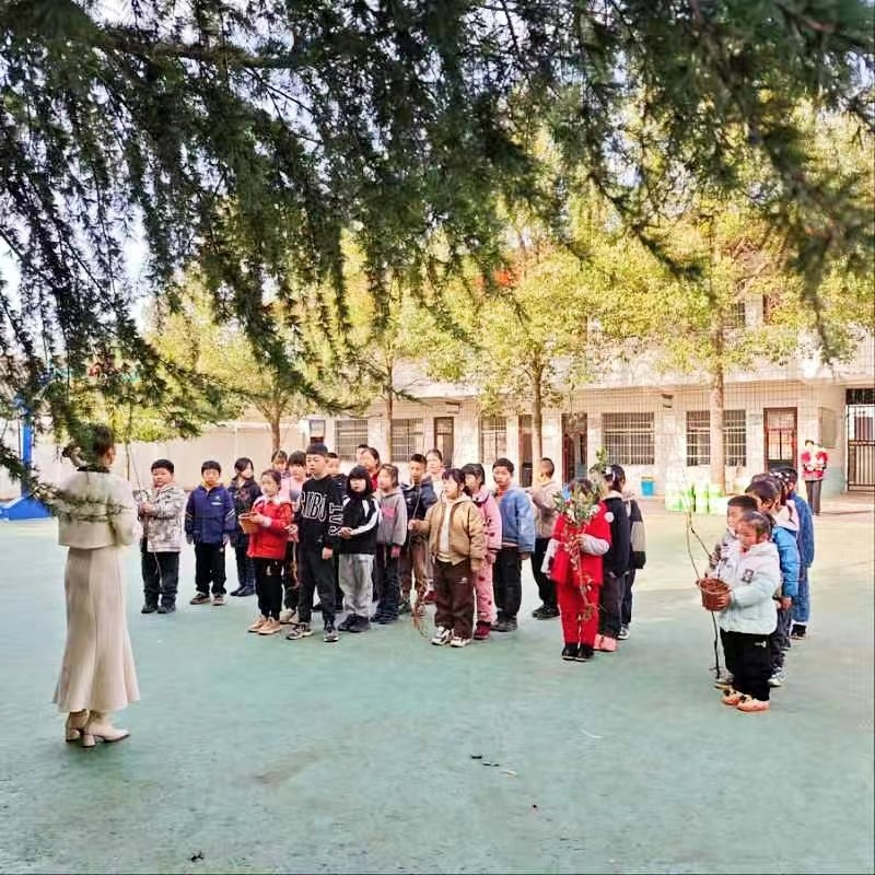 寻找春天，播种绿色