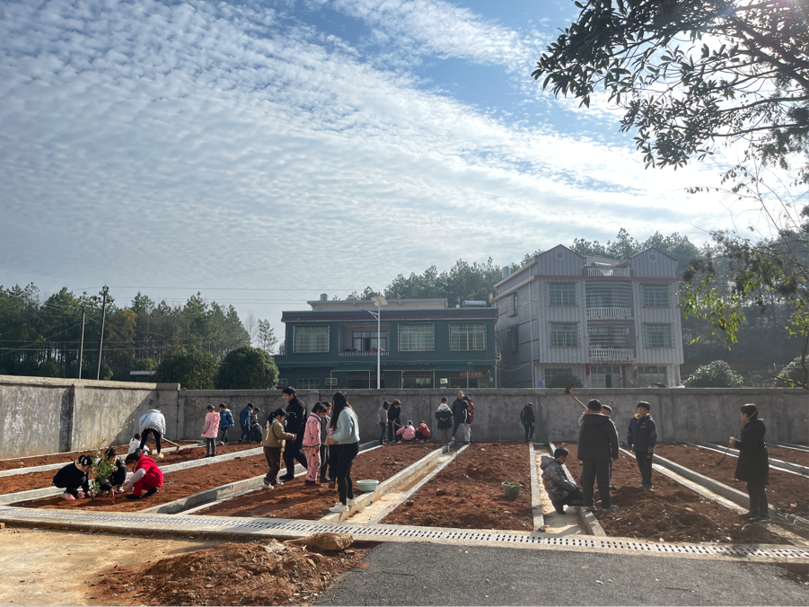 寻找春天，播种绿色