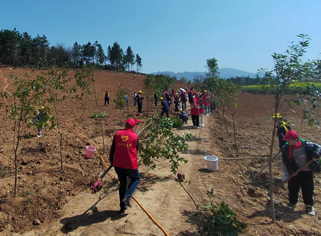 塘渡口镇一完小师生开展植树实践活动
