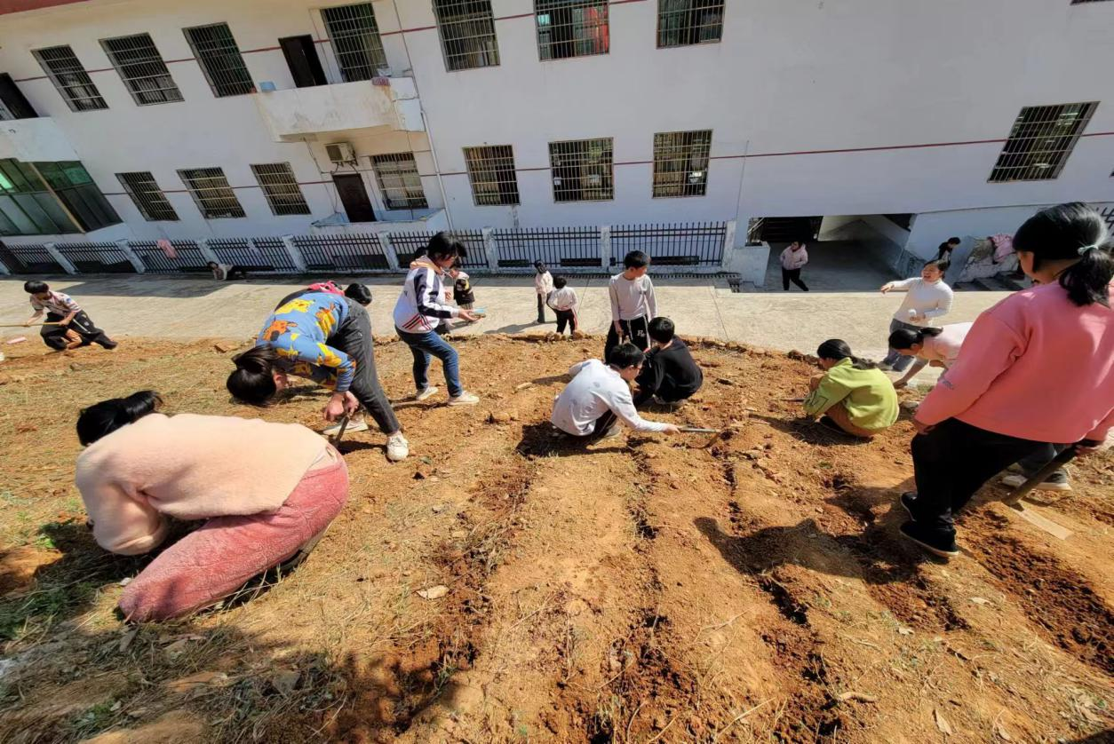 绿化三青，学做树人