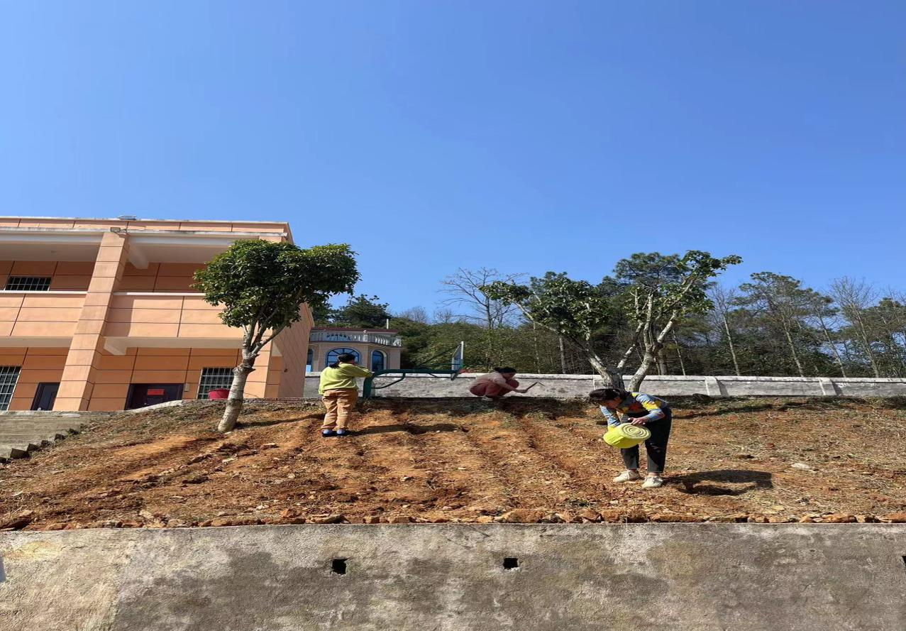 绿化三青，学做树人