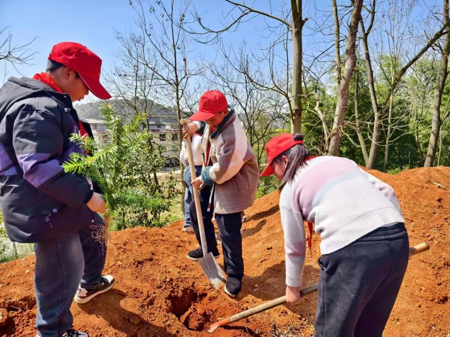 争做小雷锋，植树迎春风