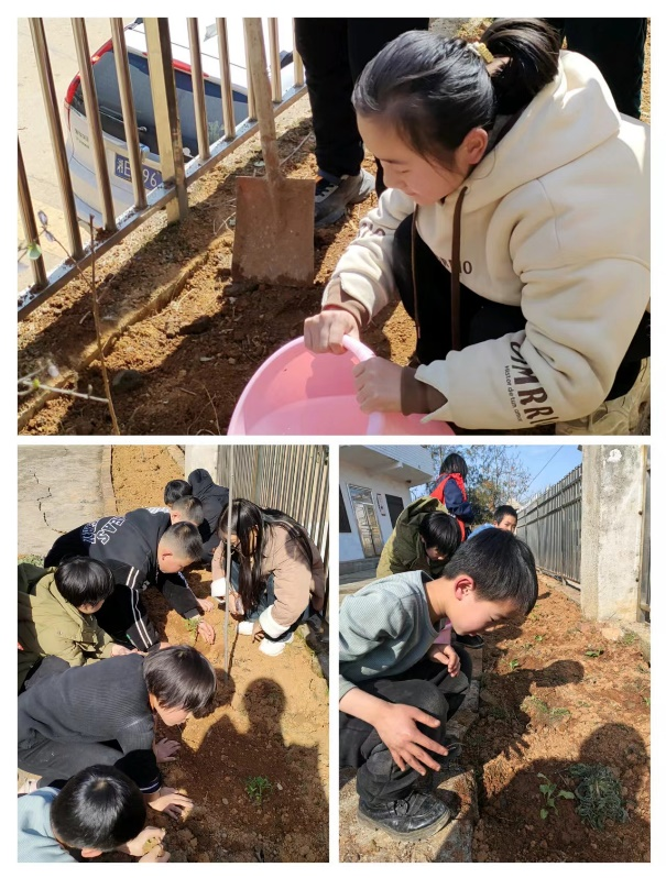 “植”此青绿，与春同行