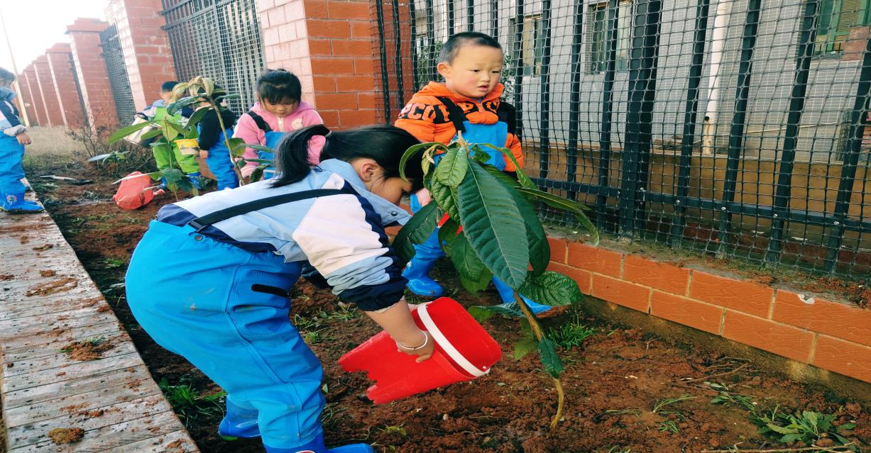 植一抹绿色，溢一片春光