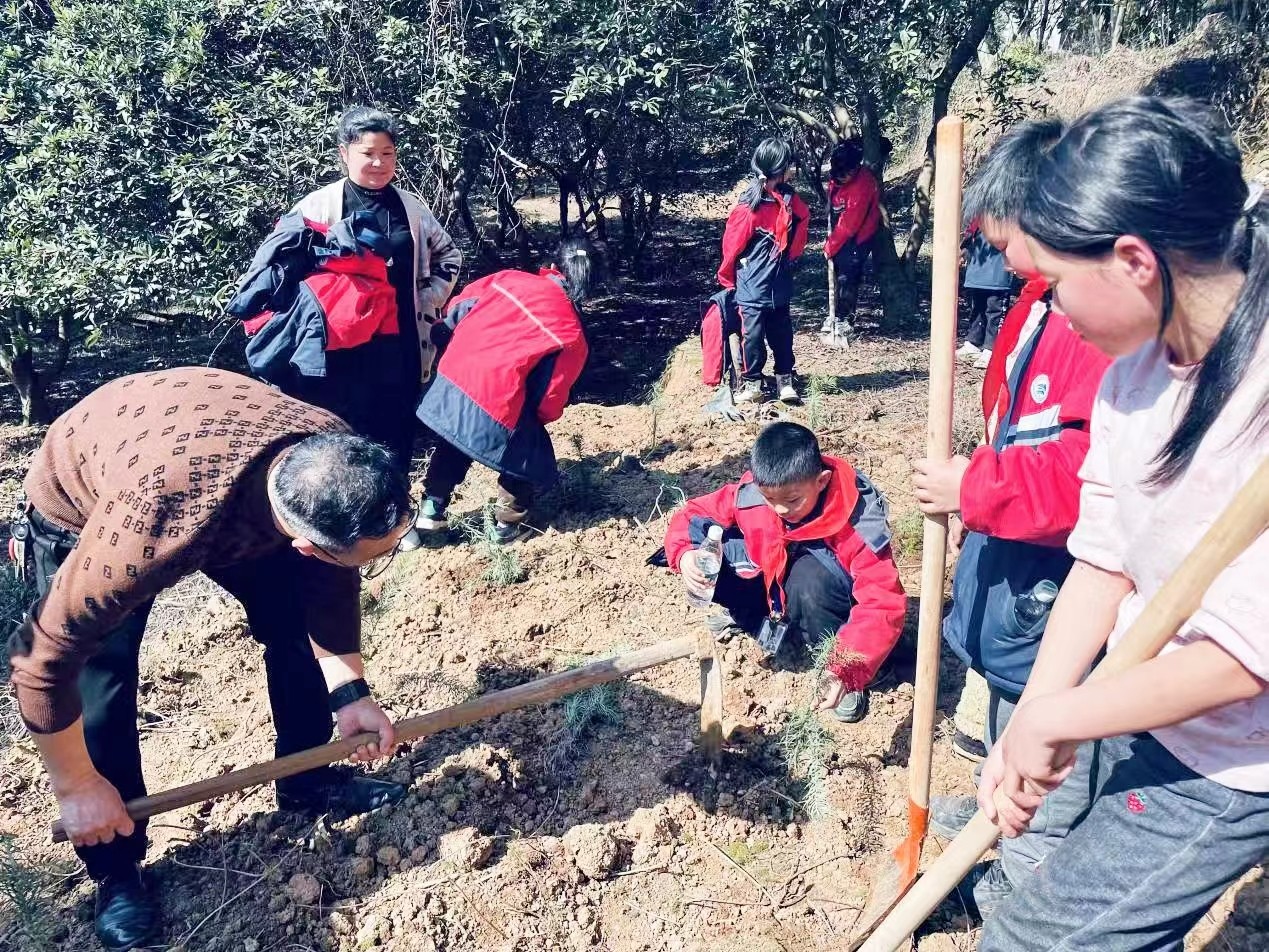 共植共青林，共筑青春梦