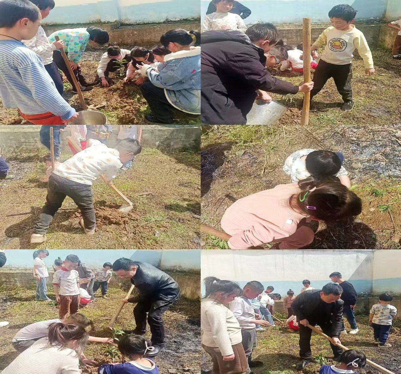 “孟春之月，盛德在木”