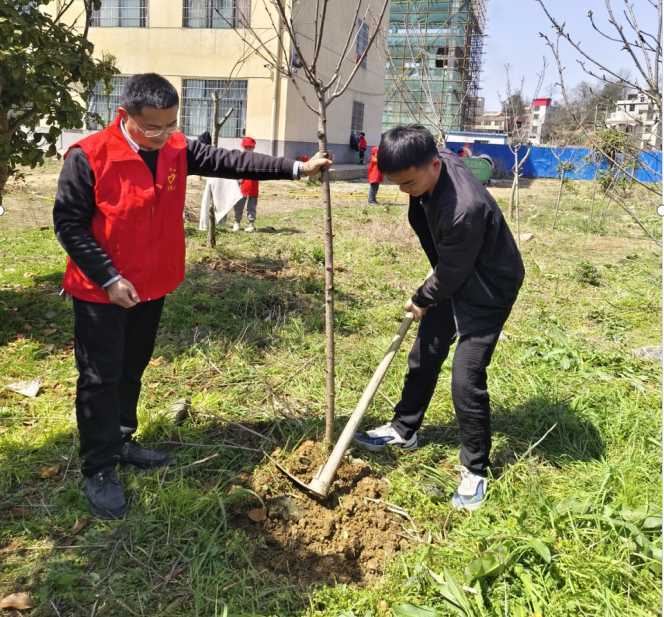 “共筑绿色校园梦”