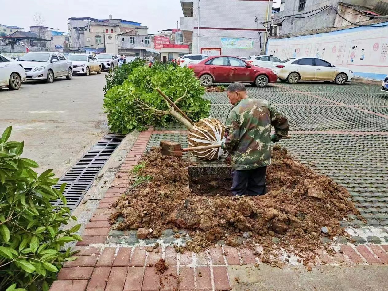 “共筑绿色校园梦”