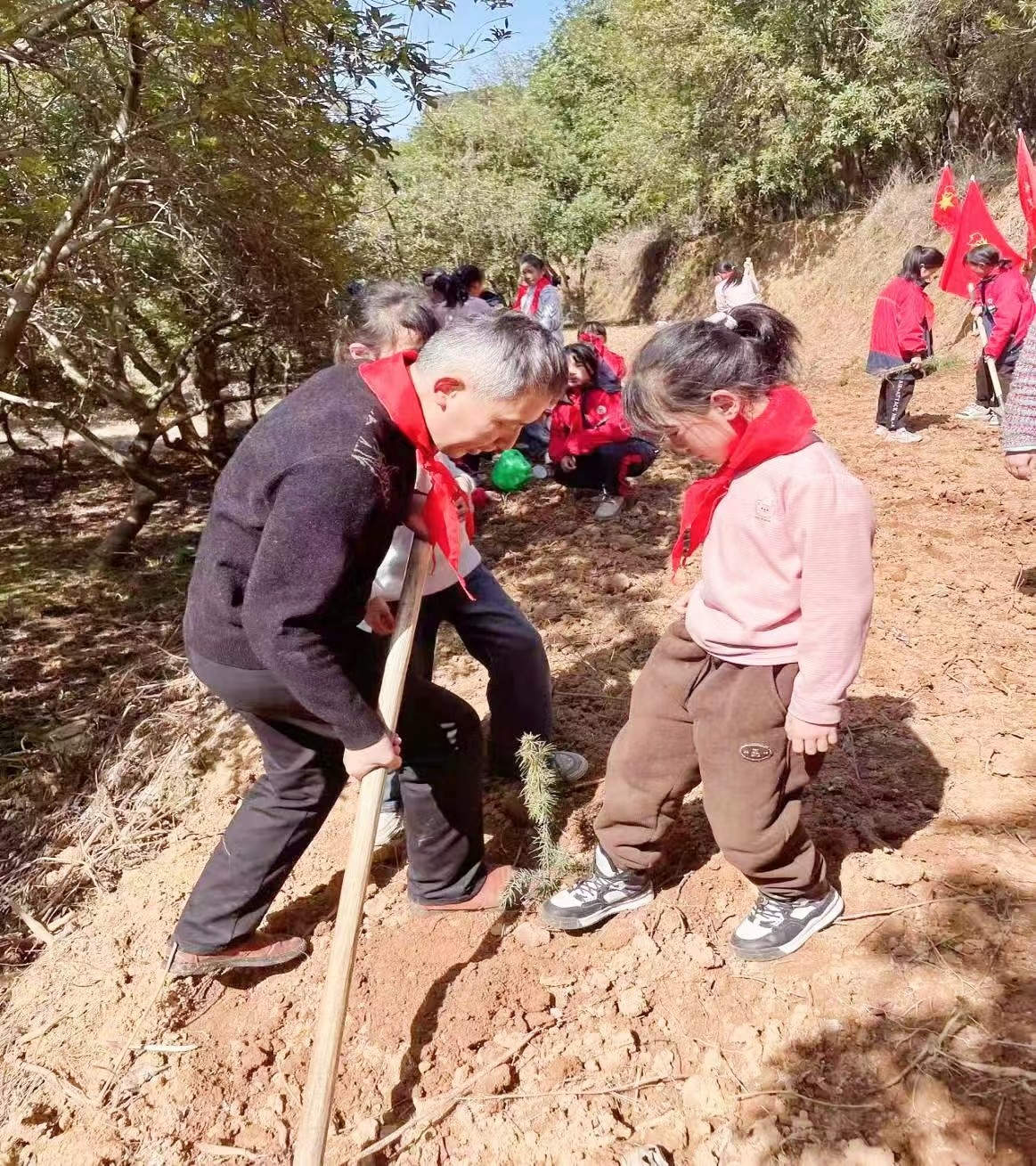党员队员共携手 ，植树增绿美环境