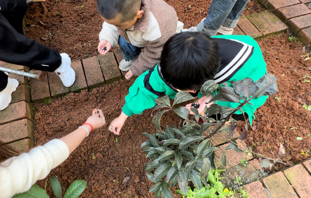 童心向党学雷锋 植树护绿我先行