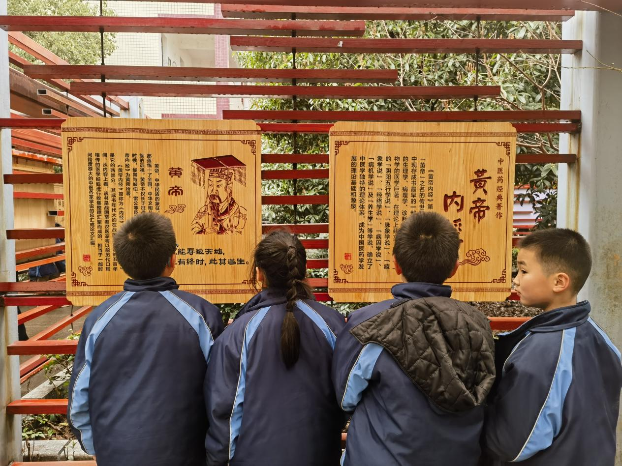 城区二小积极开展“中医药文化进校园”系列活动