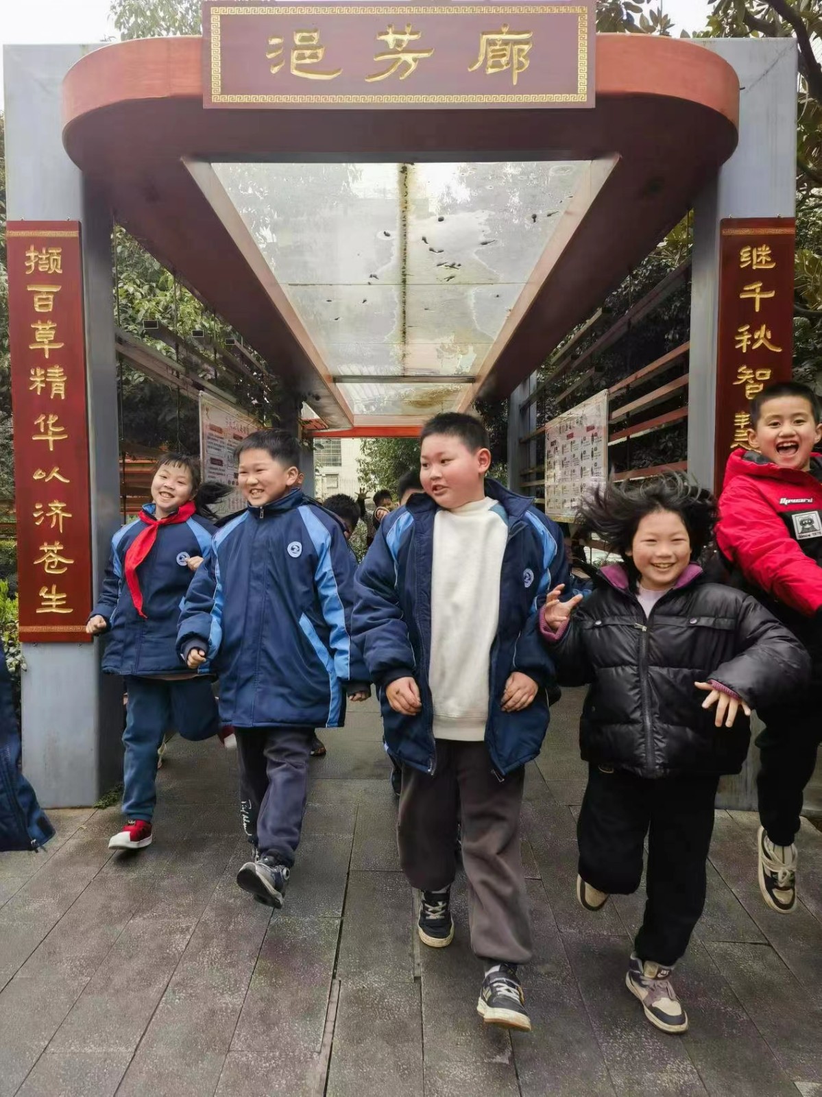 城区二小积极开展“中医药文化进校园”系列活动