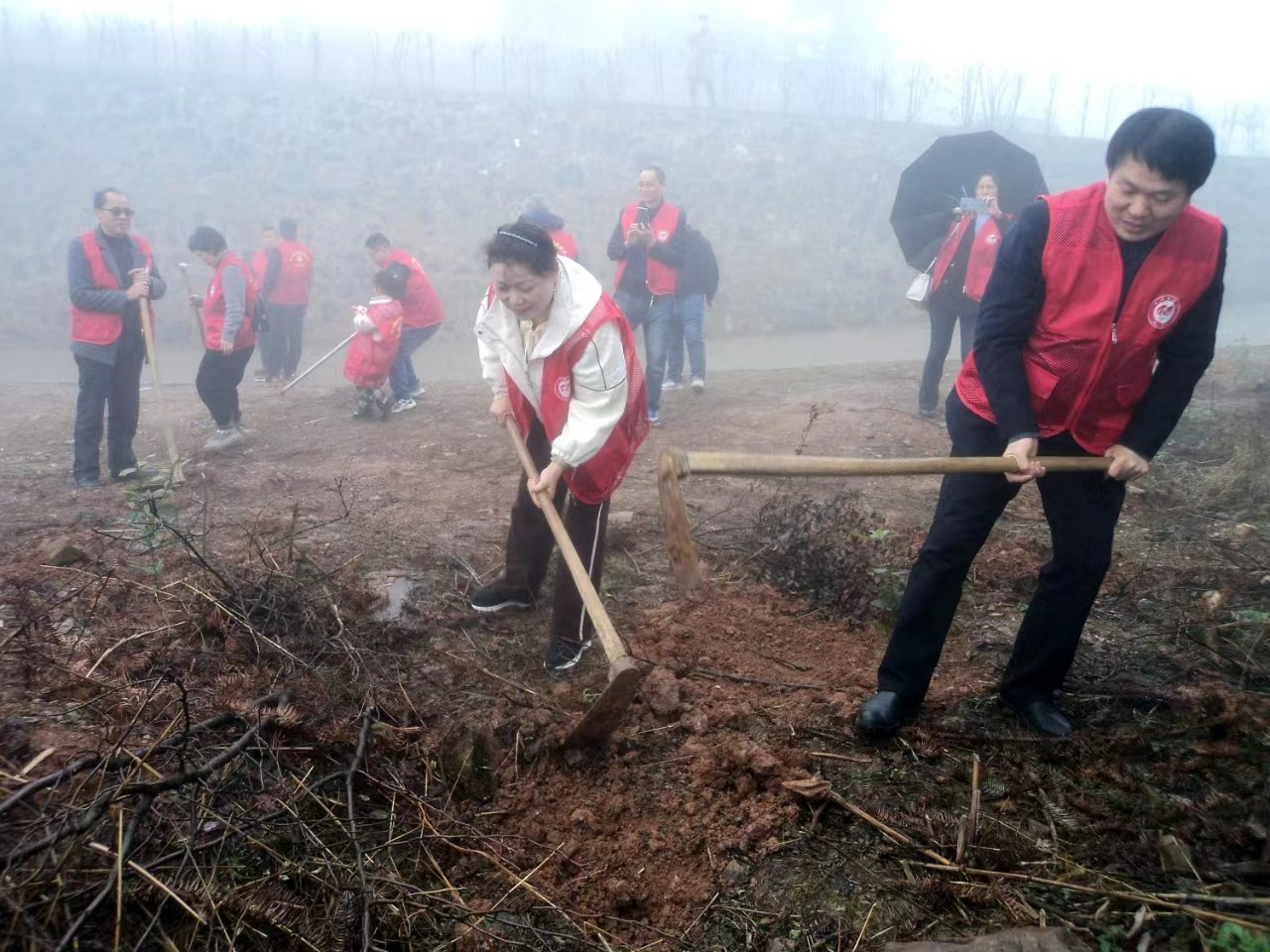 九三学社邵阳市委员会志愿者赴邵阳县五峰铺林场开展义务植树活动