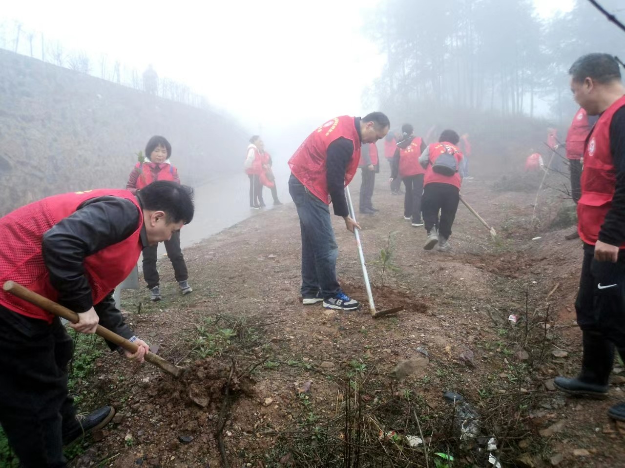 九三学社邵阳市委员会志愿者赴邵阳县五峰铺林场开展义务植树活动