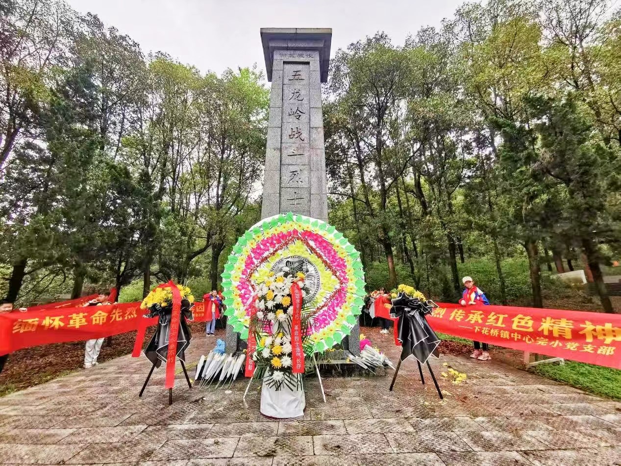 下花桥镇中心完全小学党支部举行