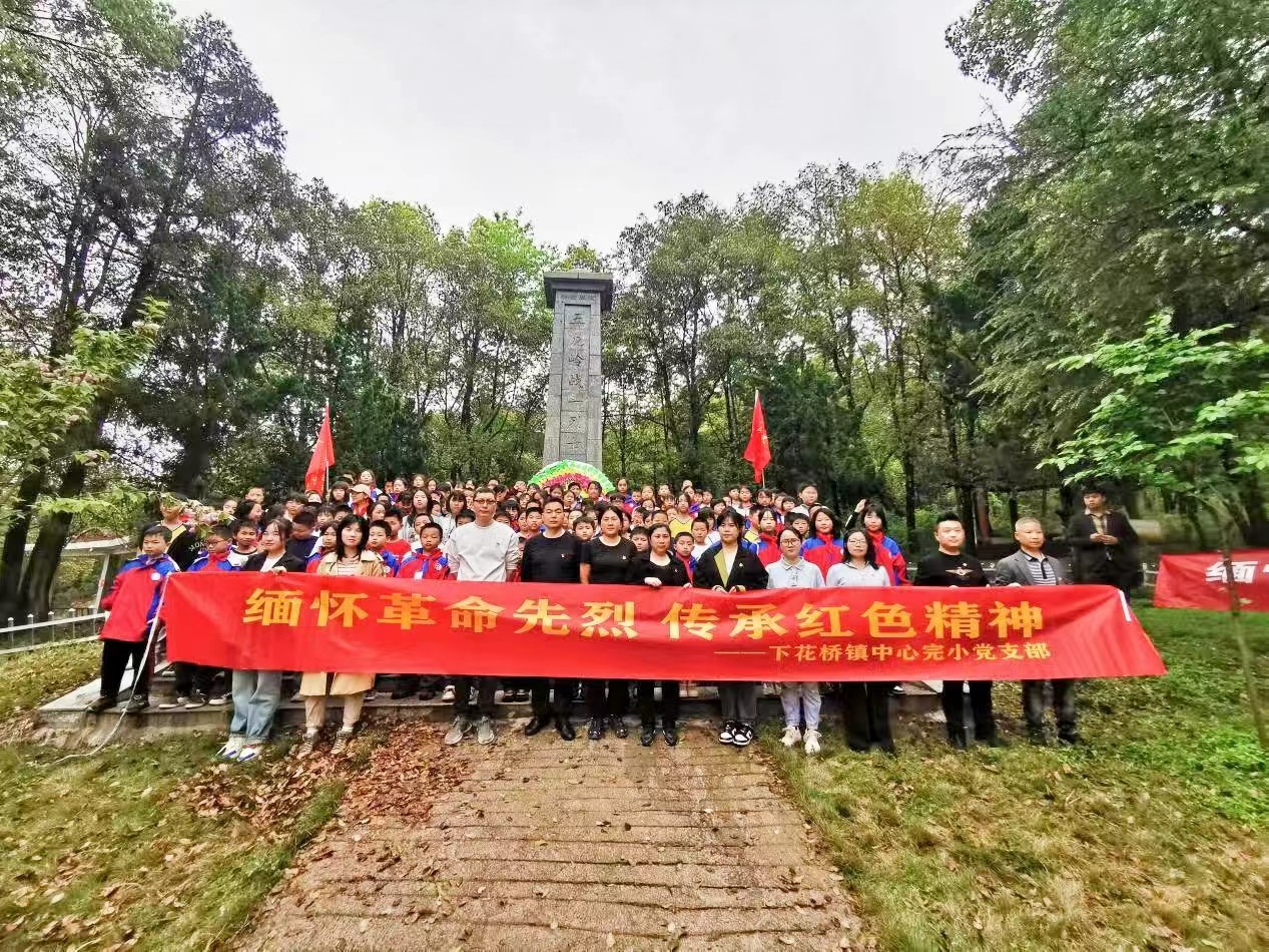 下花桥镇中心完全小学党支部举行