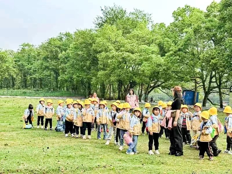 徐徐清风寄思念，春和景明踏春去