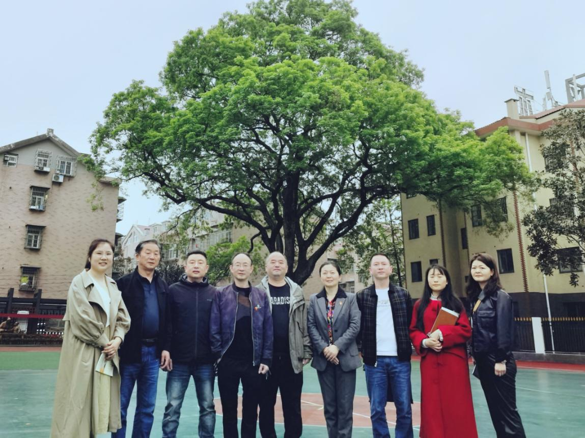 融汇经验之光，照亮前行之路