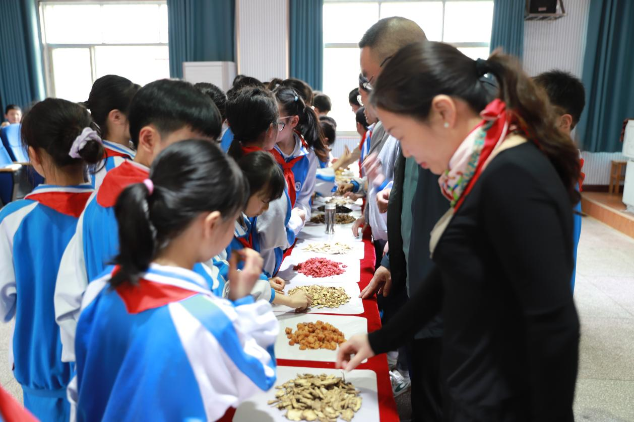 城区二小开展“中医药文化进校园”系列讲座