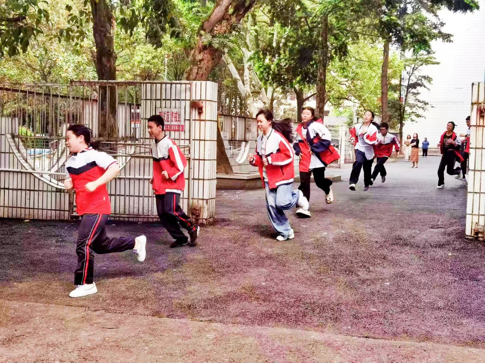 金城学校开展防震减灾紧急疏散演练