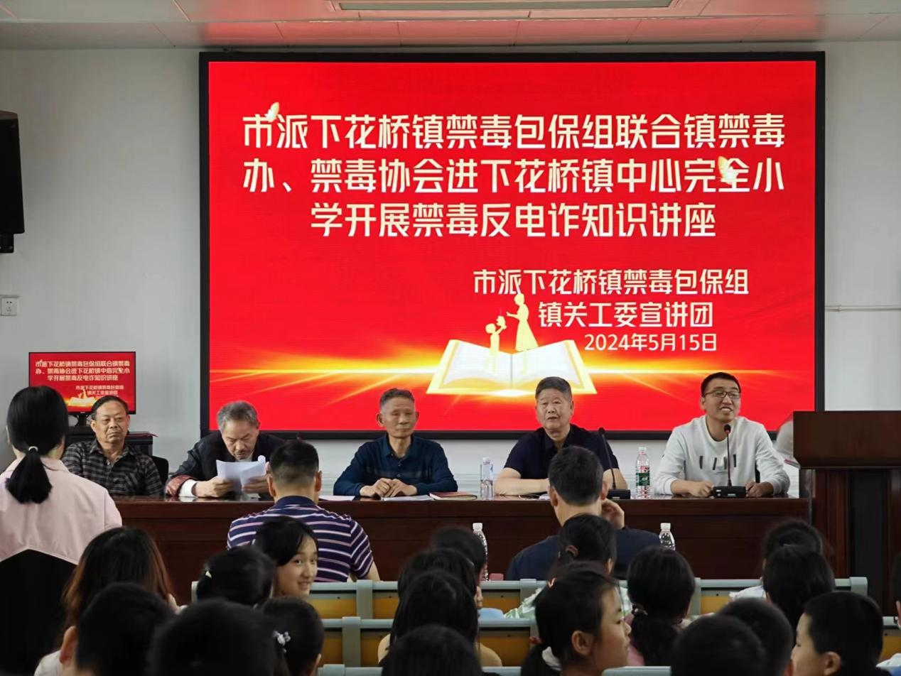 下花桥镇中心完全小学开展政治思想教育公益讲座
