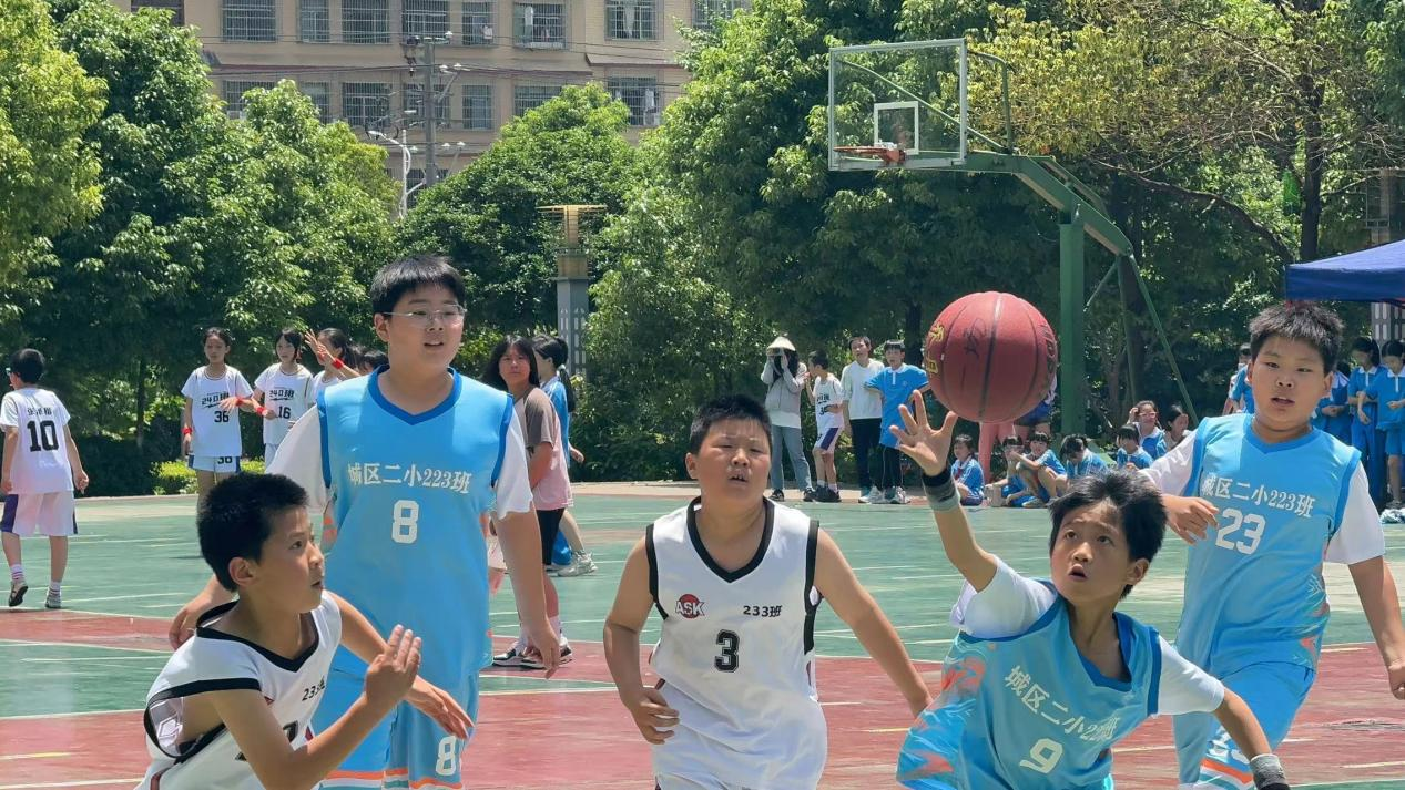 城区二小体育节：多彩活动，点燃成长激情