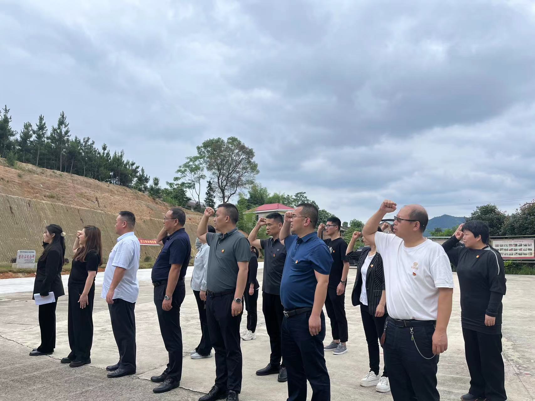 邵东市城区四小五月份主题党日活动