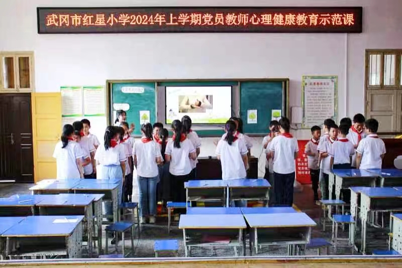 红星小学开展心理健康课题组公开课