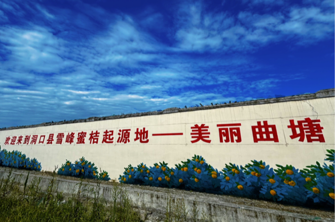 雪峰蜜桔园的自然农业探索之旅