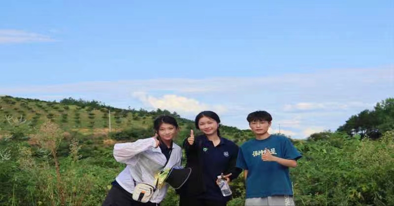 雪峰蜜桔园的自然农业探索之旅