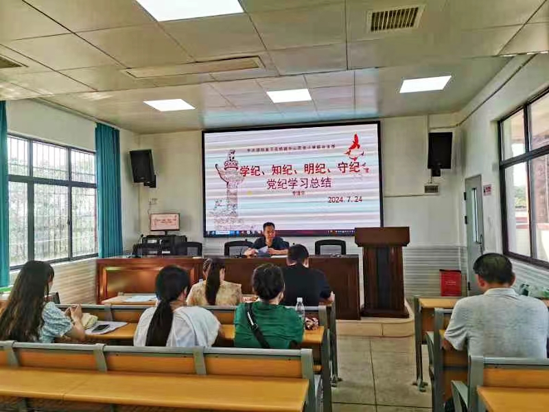 下花桥镇中心完全小学党支部开展“学纪 知纪 明纪 守纪”主题党日活动