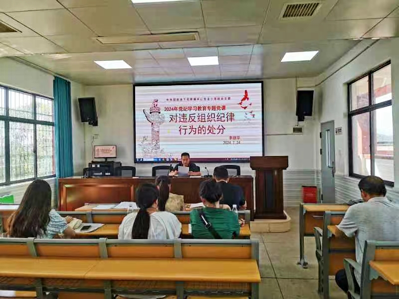 下花桥镇中心完全小学党支部开展“学纪 知纪 明纪 守纪”主题党日活动