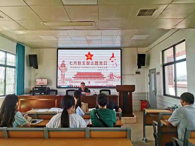 下花桥镇中心完全小学党支部开展“学纪 知纪 明纪 守纪”主题党日活动