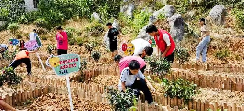 白仓镇芙蓉学校举办“校内劳动基地播种启动仪式”
