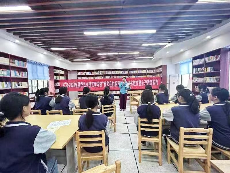 白仓镇芙蓉学校开展“我和我的祖国”读书教育