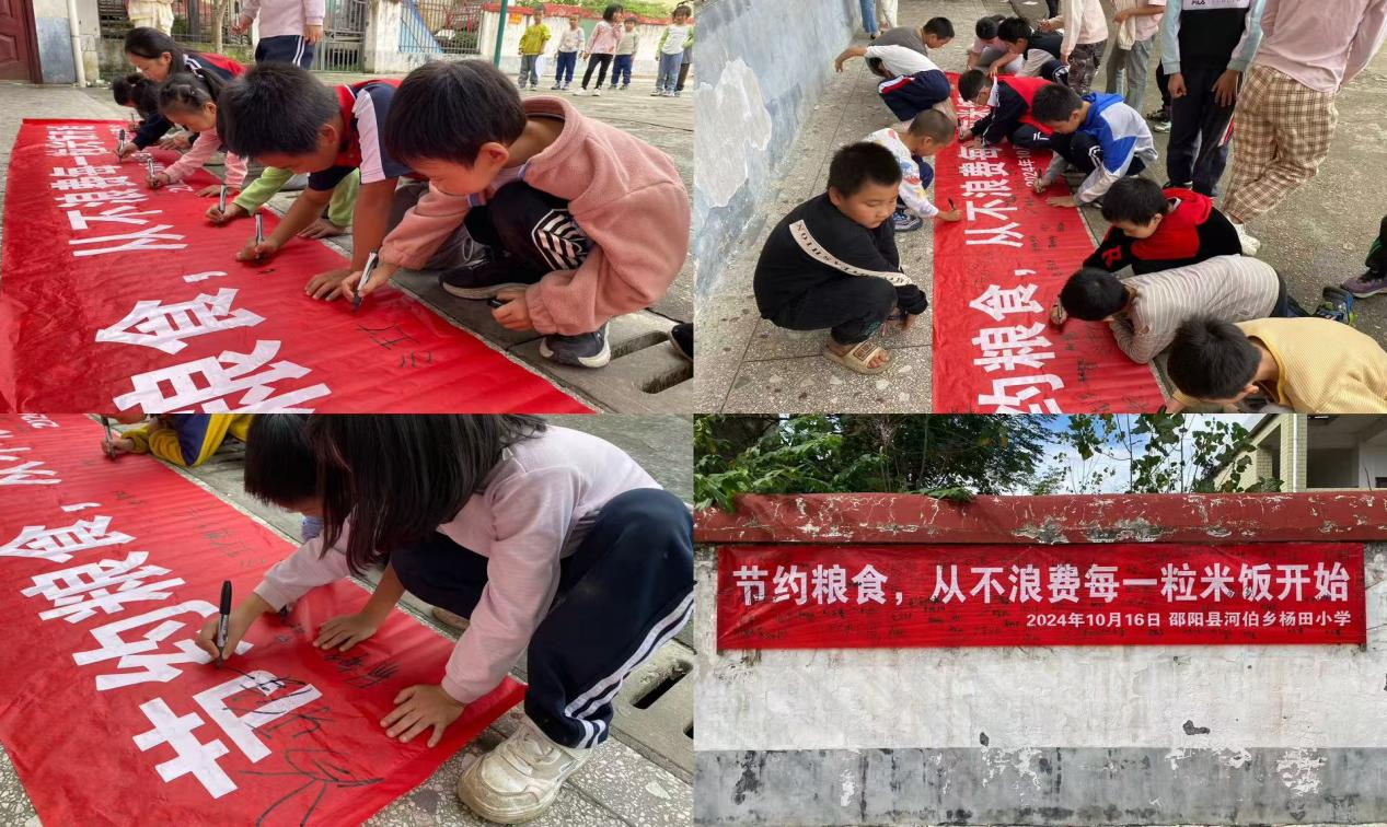节约粮食，从不浪费一粒米饭开始