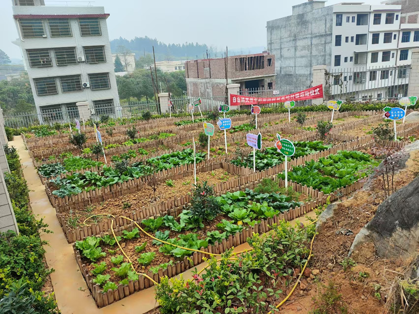 “劳”以强体 “动”以润心