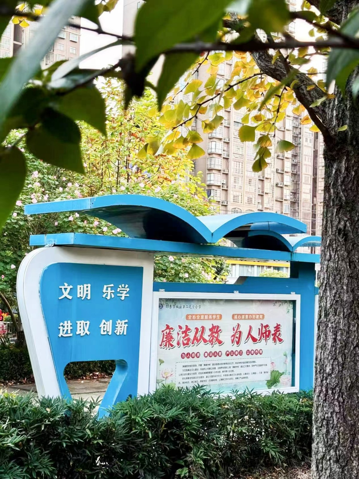 城区二小举行“清廉”主题手机摄影比赛