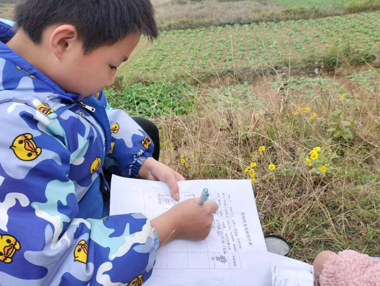 河伯中学举办“探索多彩自然，筑梦科学未来” 青少年科学调查体验