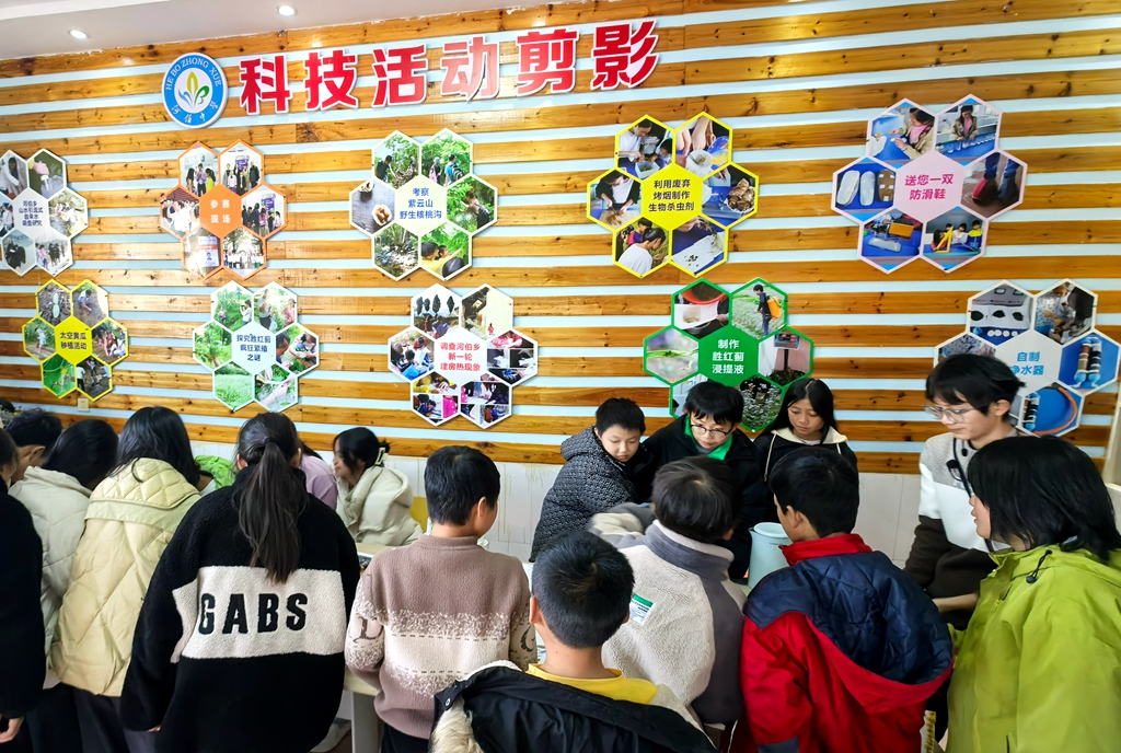 河伯中学：探索多彩大自然，科学之光闪耀校园